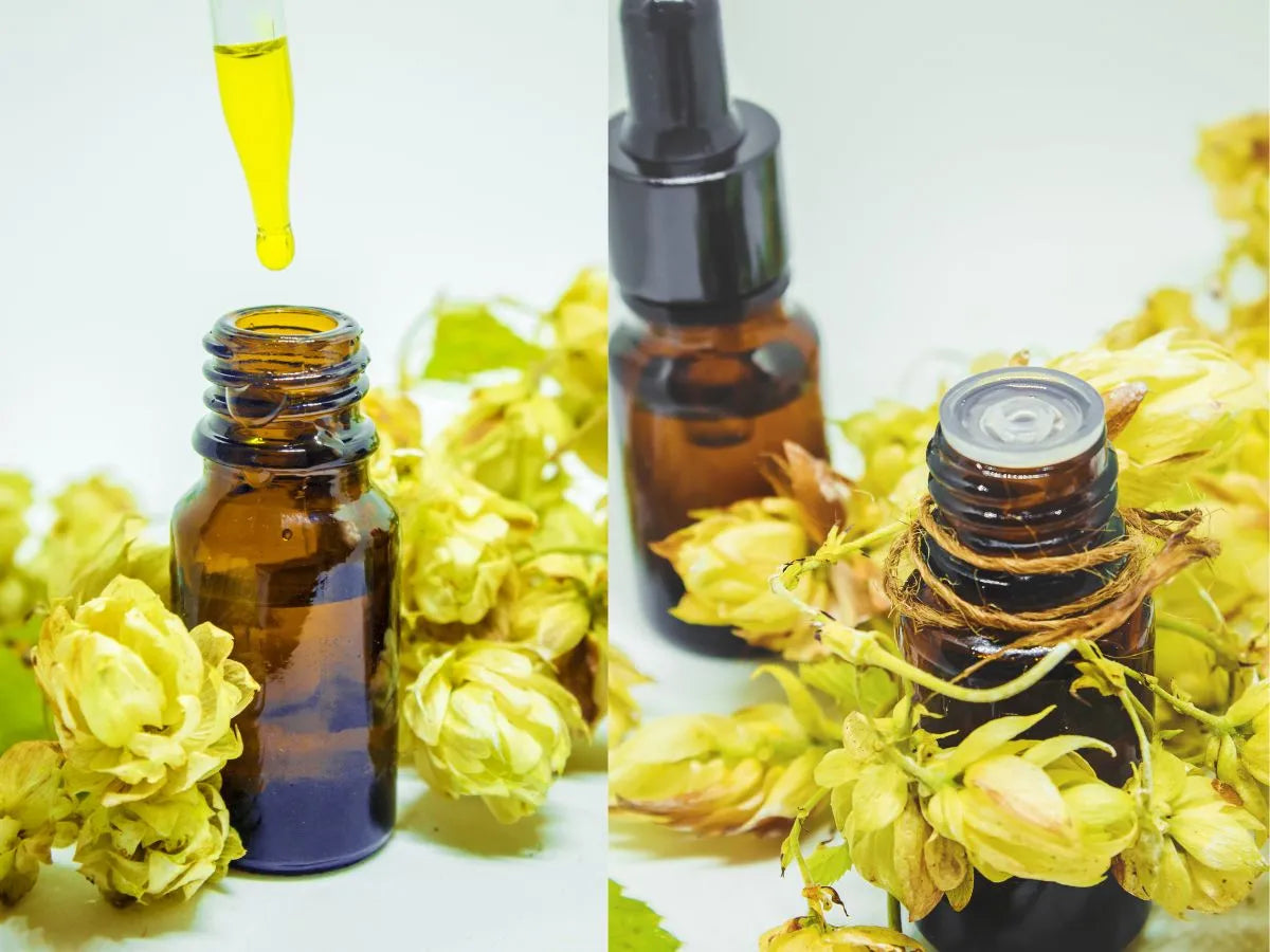What is Matured Hop Extract (MHE-3)? | Drink Adaphyte